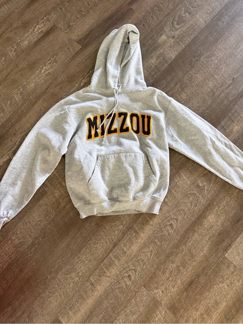 Champion Gray Mizzou Hoodie with Black and Gold Lettering